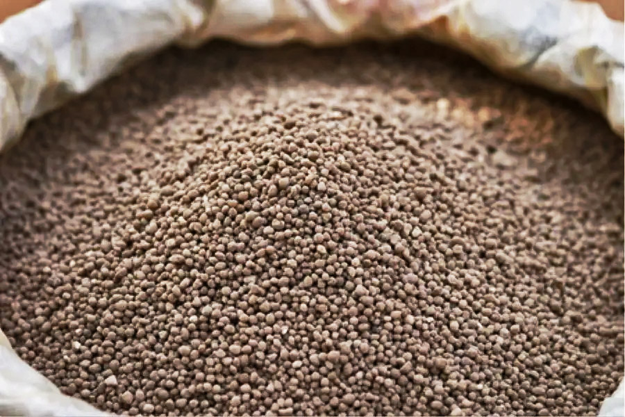DAP (Diammonium Phosphate)