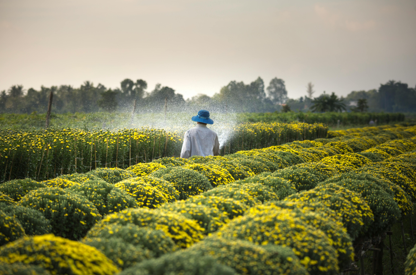 Agricultural